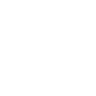 Logo Bacardi