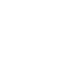 Logo Dim