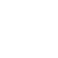 Logo Brice