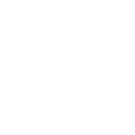 Logo Petit Navire