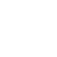 Logo Selecta